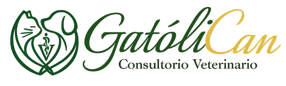 Gatolican logo a color